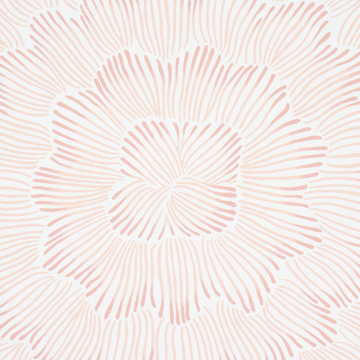 FEATHER BLOOM gallery 3