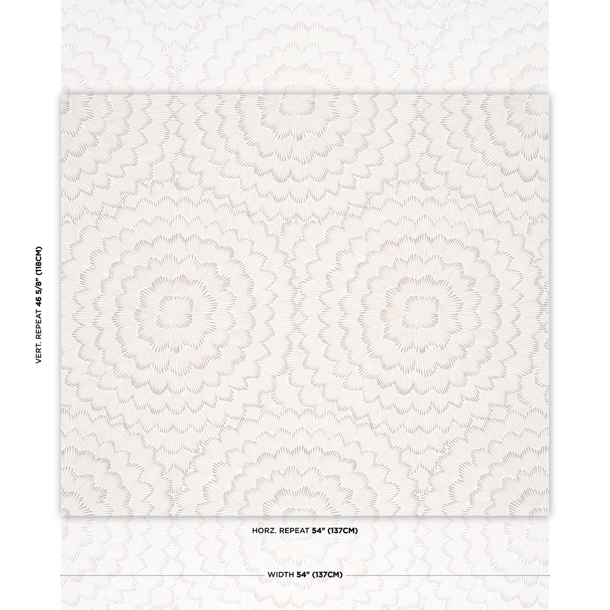 FEATHER BLOOM gallery 1