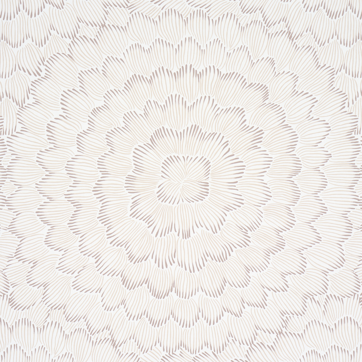 FEATHER BLOOM gallery 2