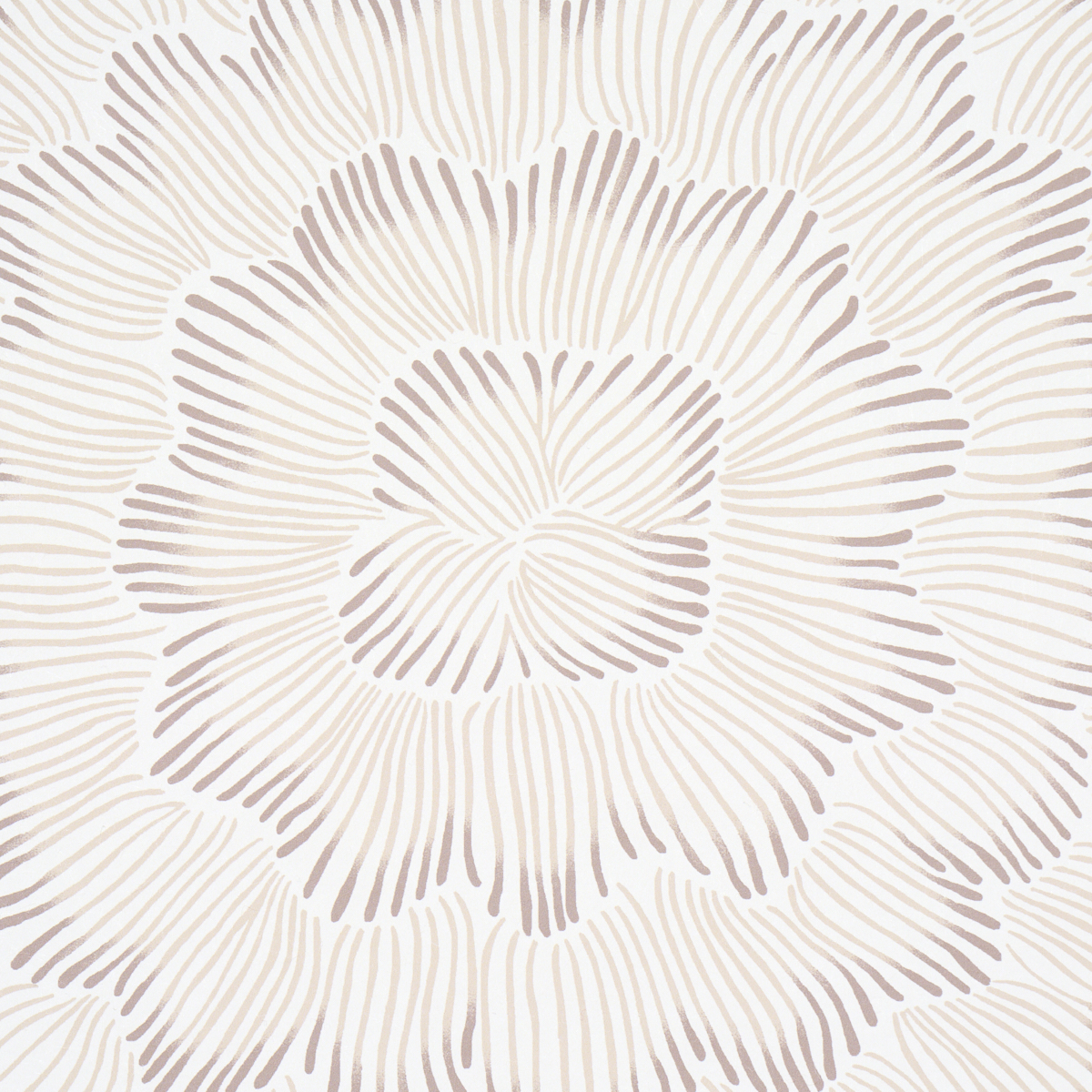 FEATHER BLOOM gallery 3