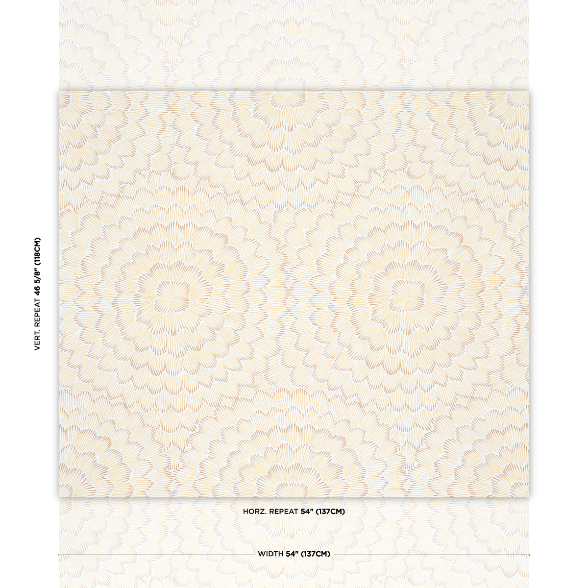 FEATHER BLOOM gallery 1