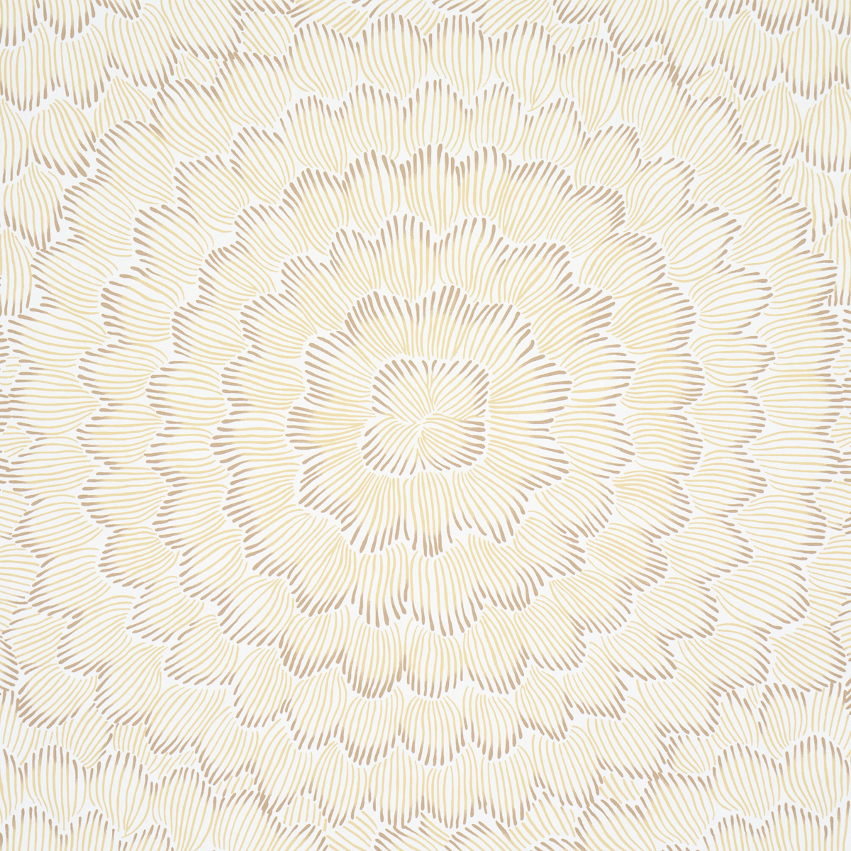 FEATHER BLOOM gallery 2