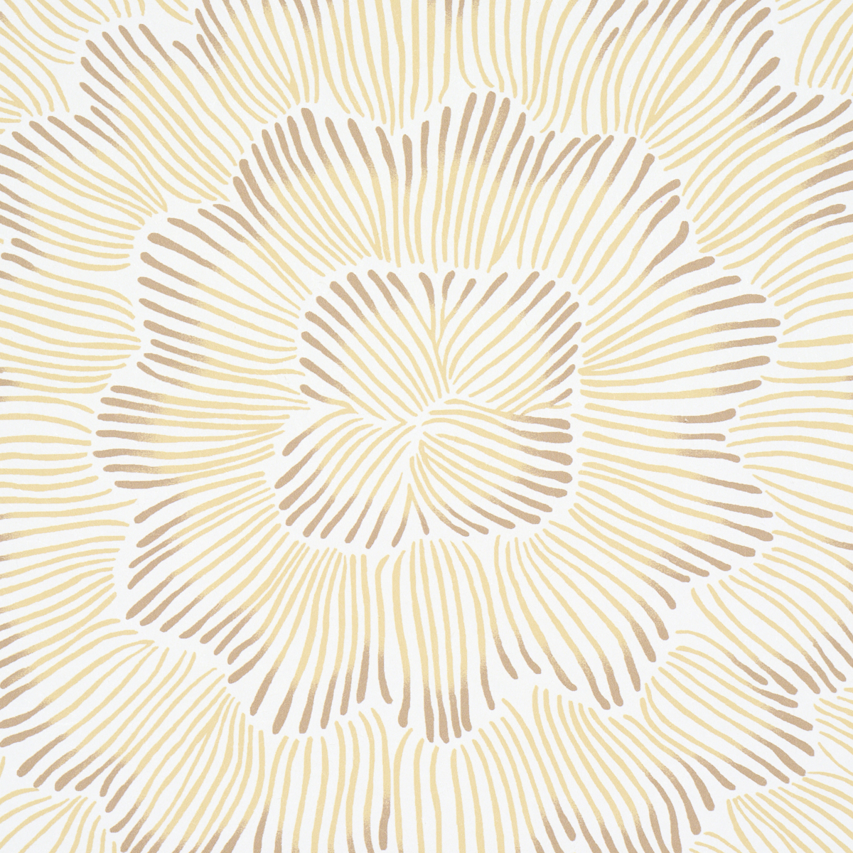 FEATHER BLOOM gallery 3