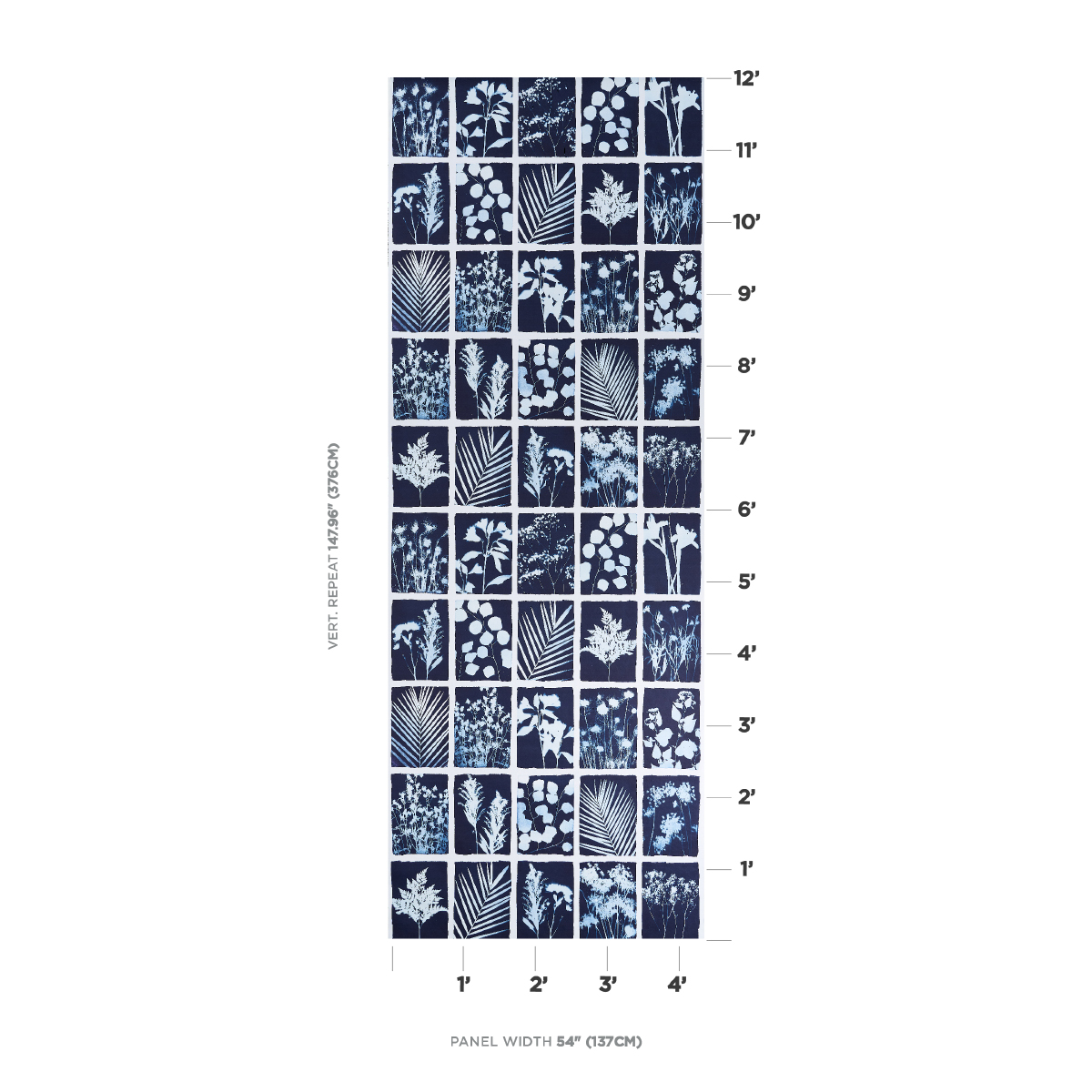 CYANOTYPE PANEL gallery 1