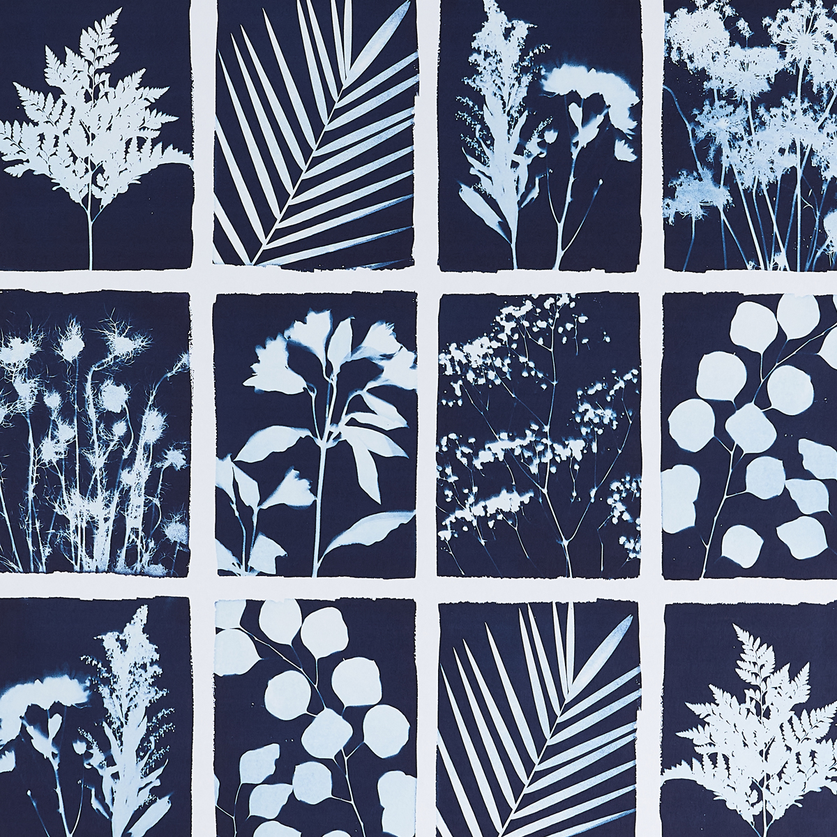 CYANOTYPE PANEL gallery 2
