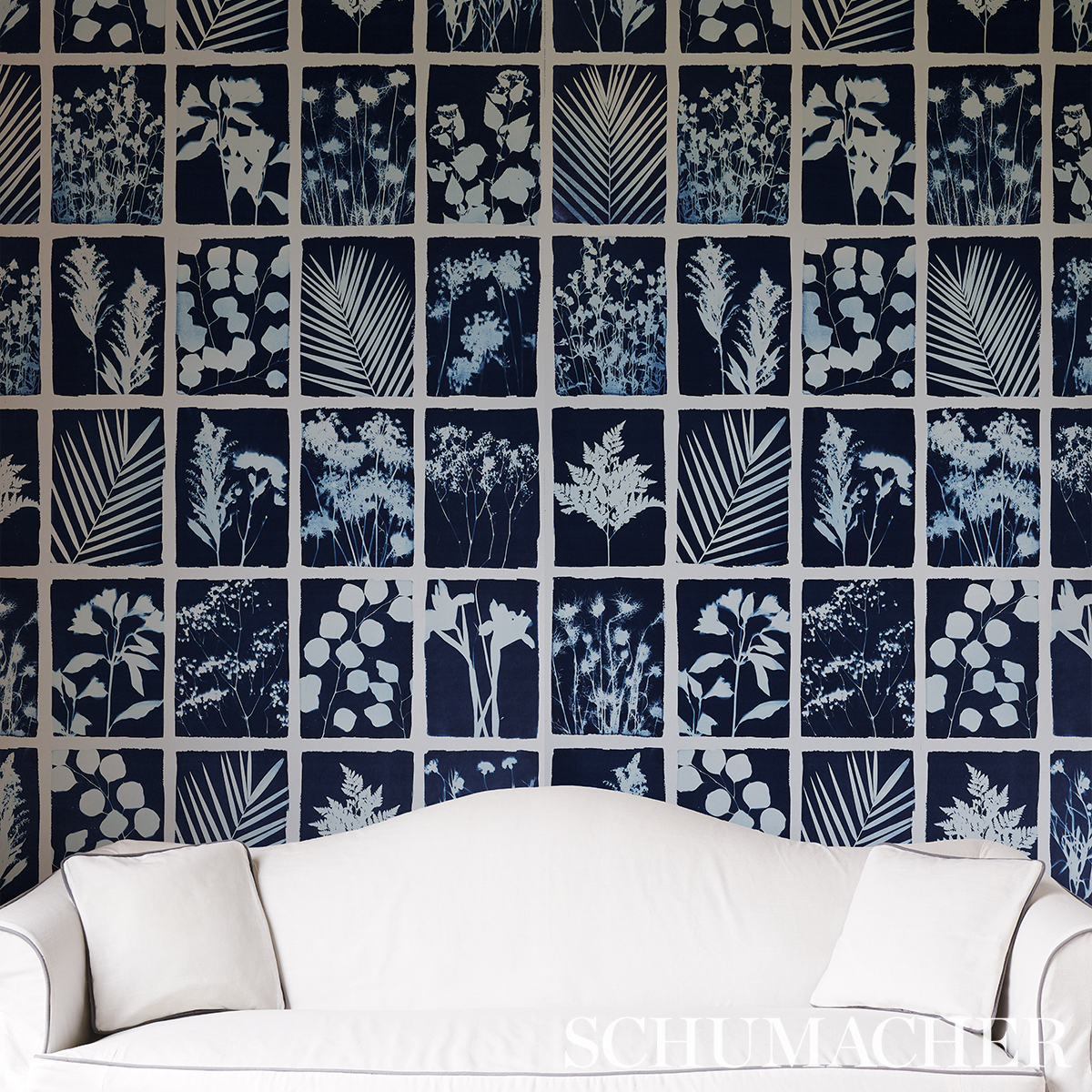 CYANOTYPE PANEL gallery 5