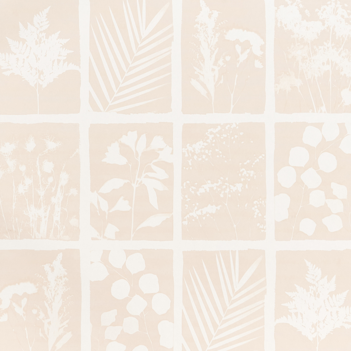 CYANOTYPE PANEL gallery 2