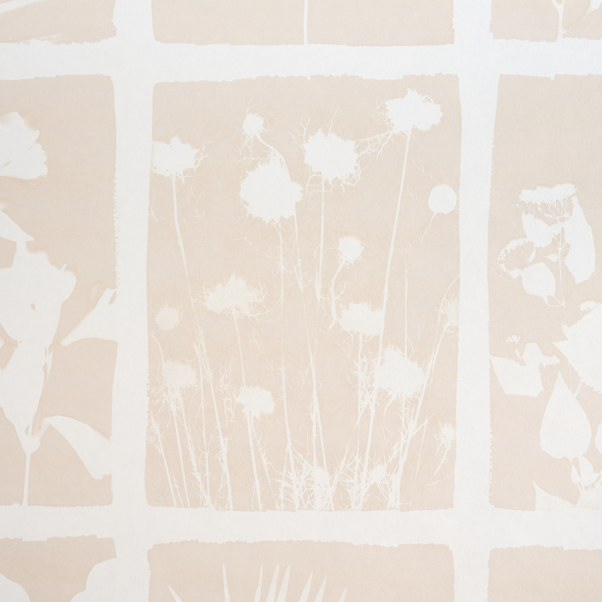 CYANOTYPE PANEL gallery 3