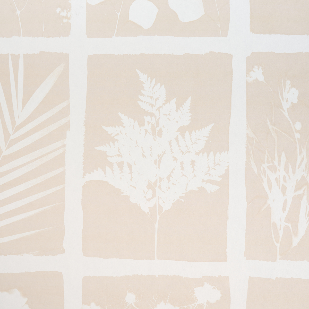 CYANOTYPE PANEL gallery 4