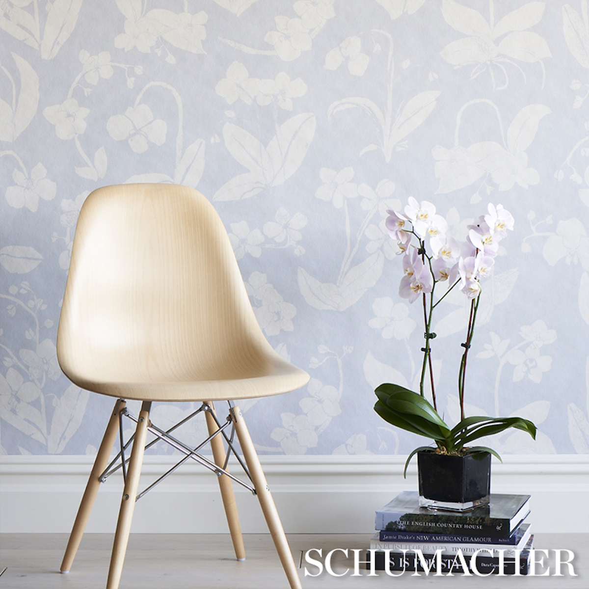 ORCHIDS HAVE DREAMS gallery 3