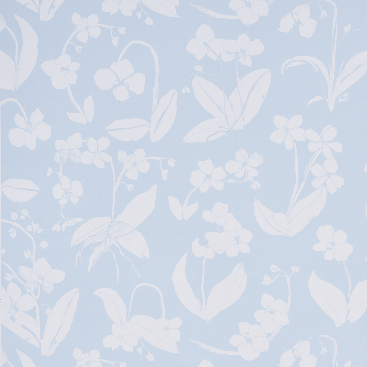 ORCHIDS HAVE DREAMS — SKY