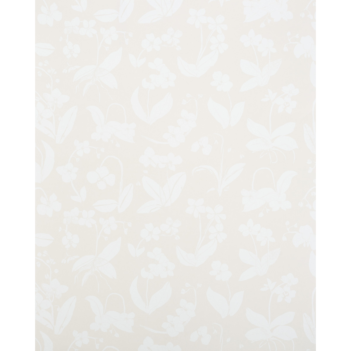 ORCHIDS HAVE DREAMS gallery 1
