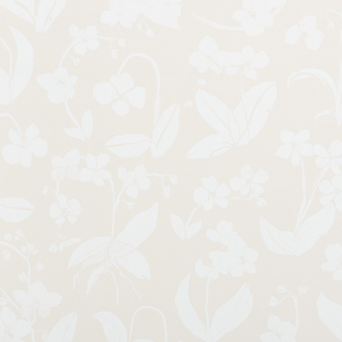 LIGHT NEUTRAL