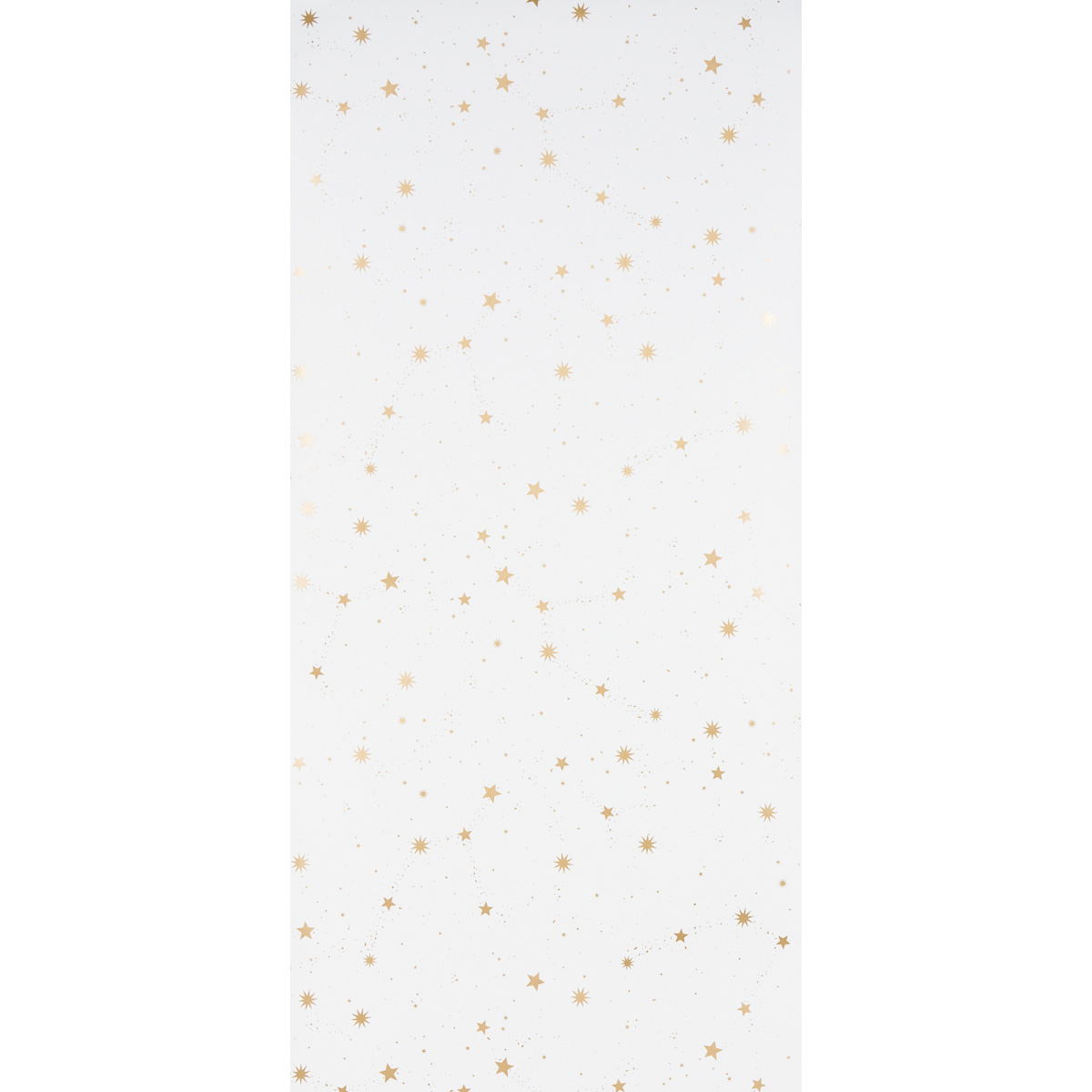 SCATTERED STARS gallery 1