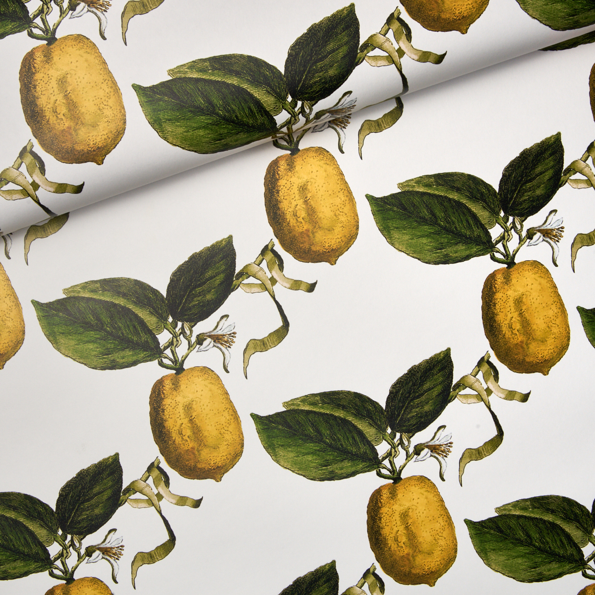 LE CITRON gallery 3