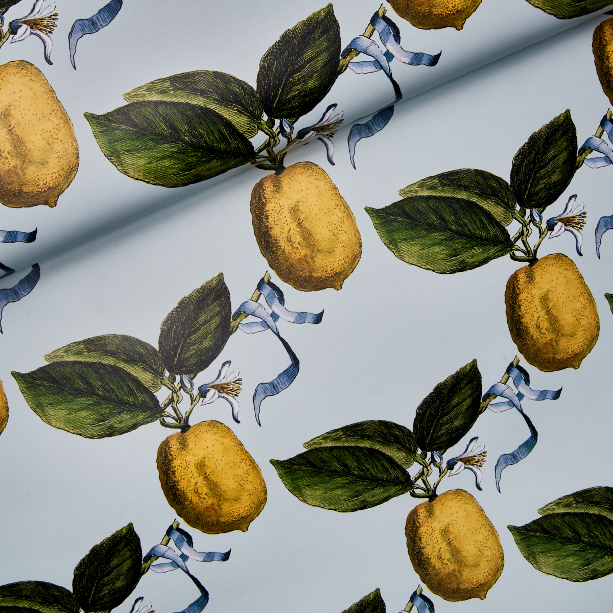LE CITRON gallery 3