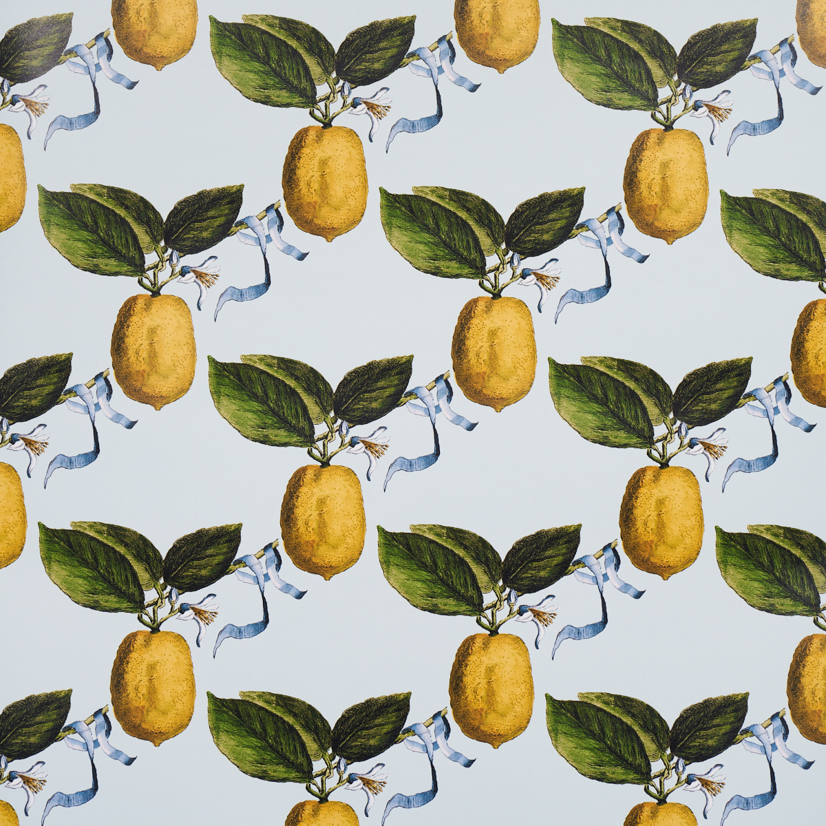 LE CITRON — SKY