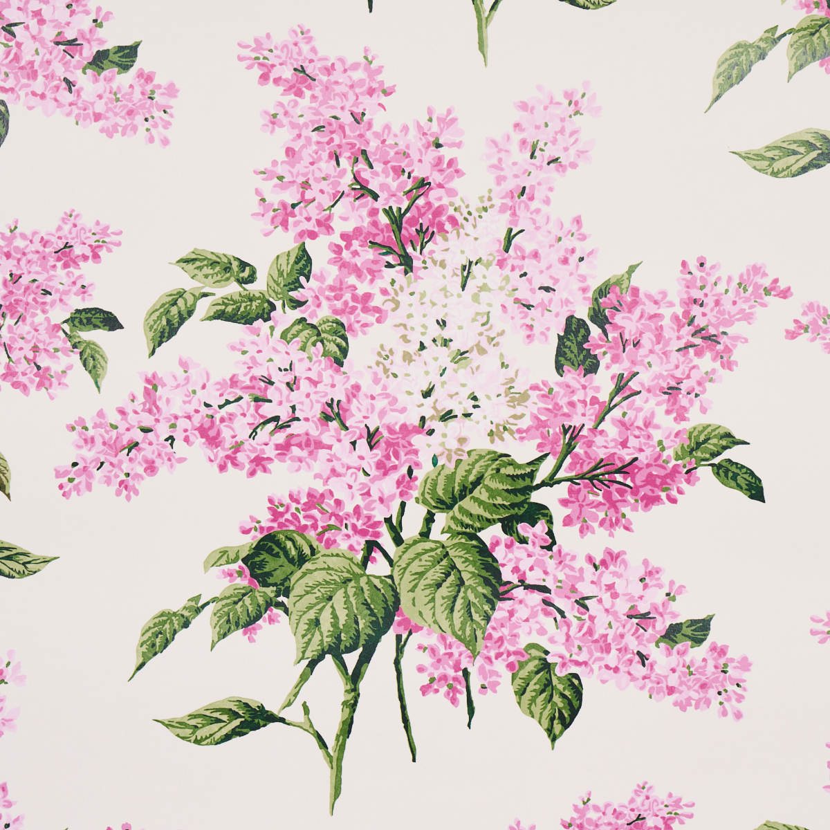 PROUST'S LILACS gallery 2