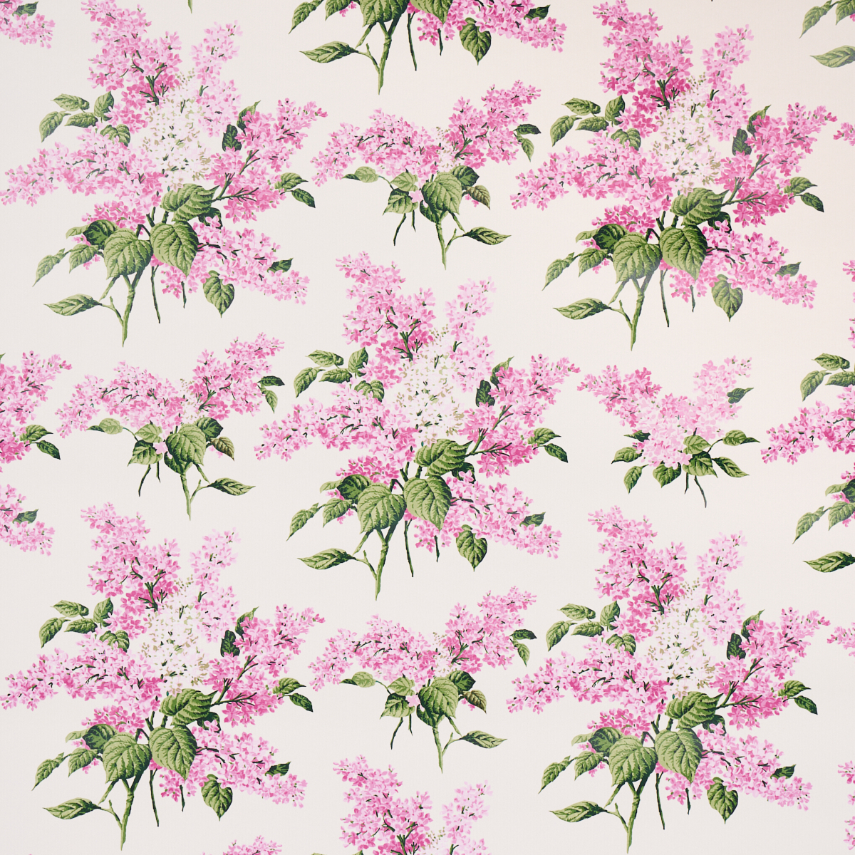 PROUST'S LILACS — PINK