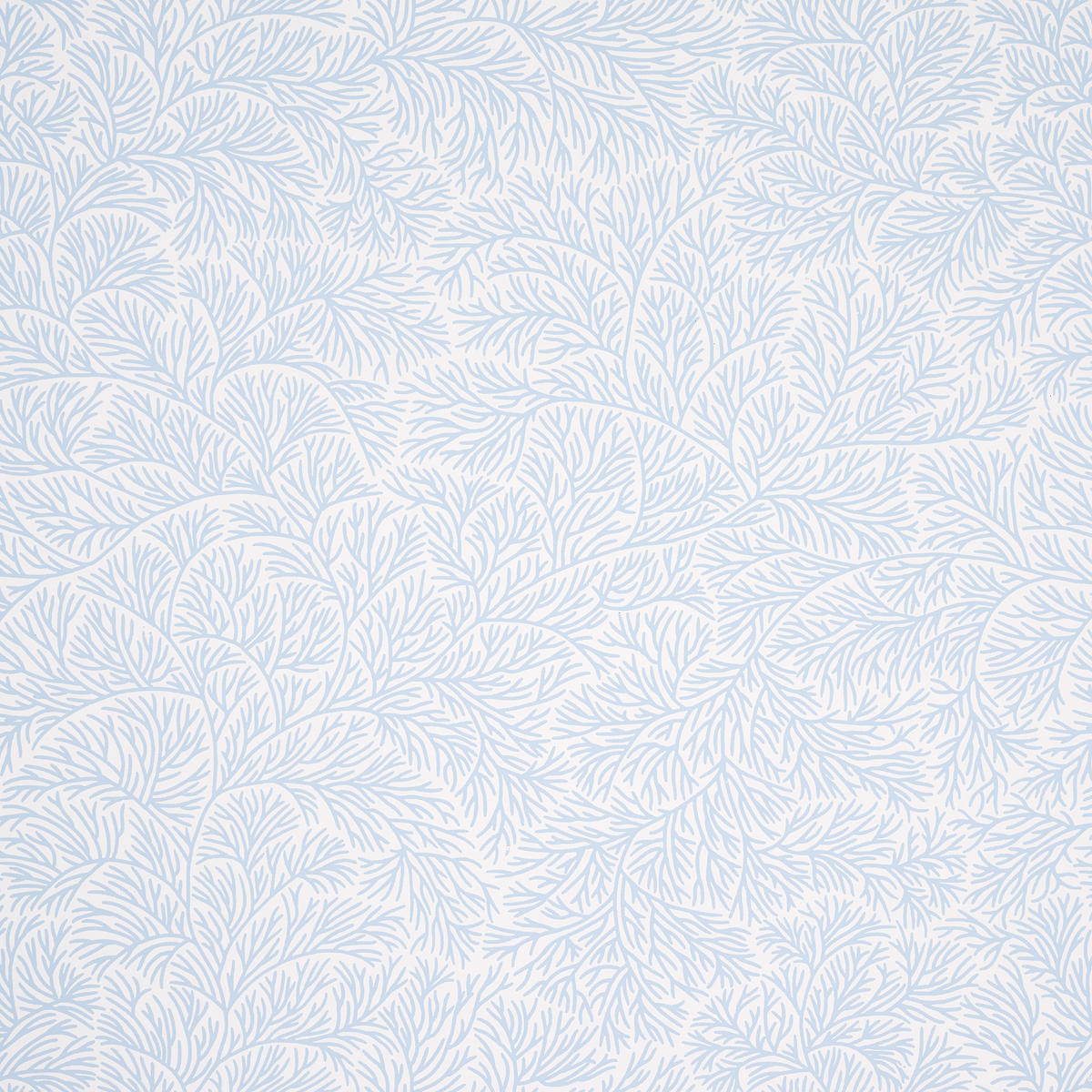 CHINA BLUE