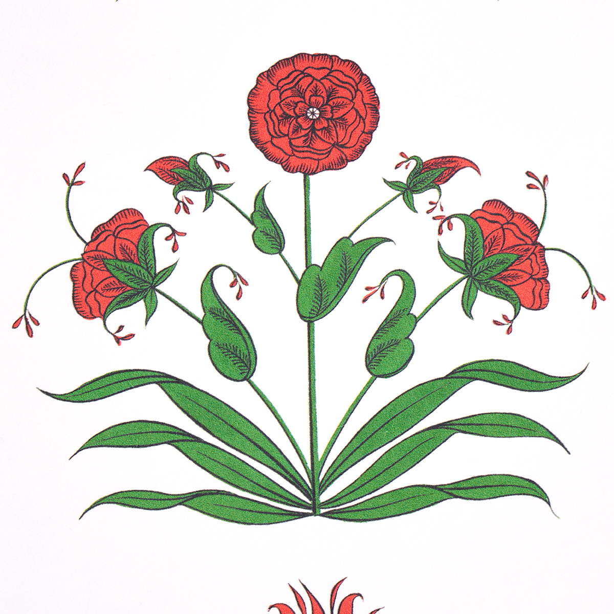 POPPY STRIPES gallery 3
