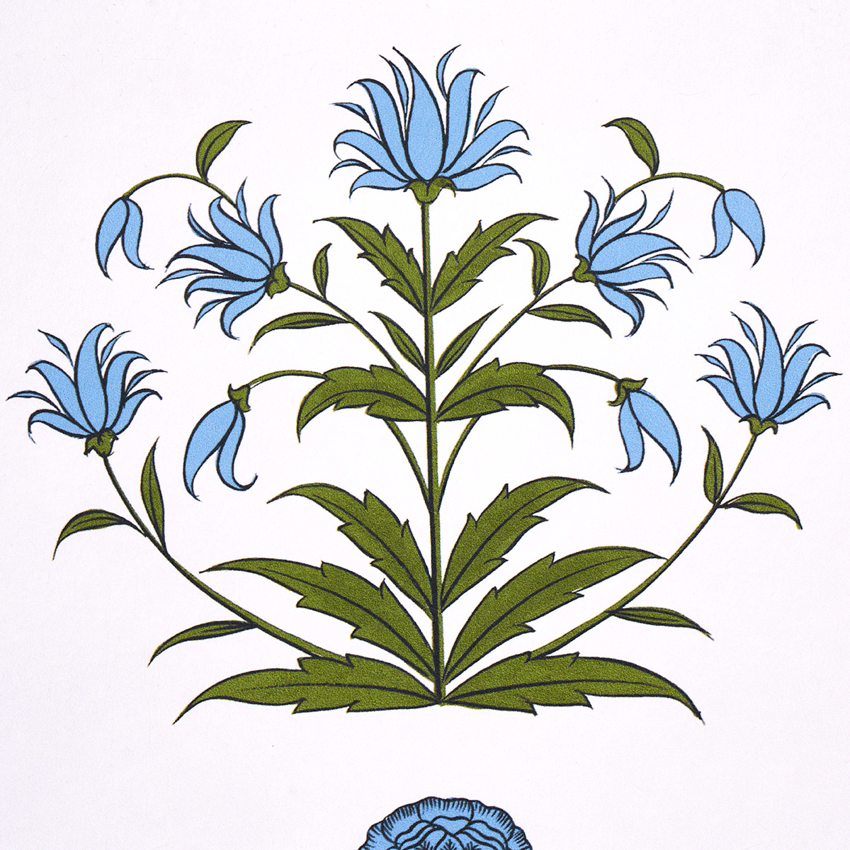 POPPY STRIPES gallery 2