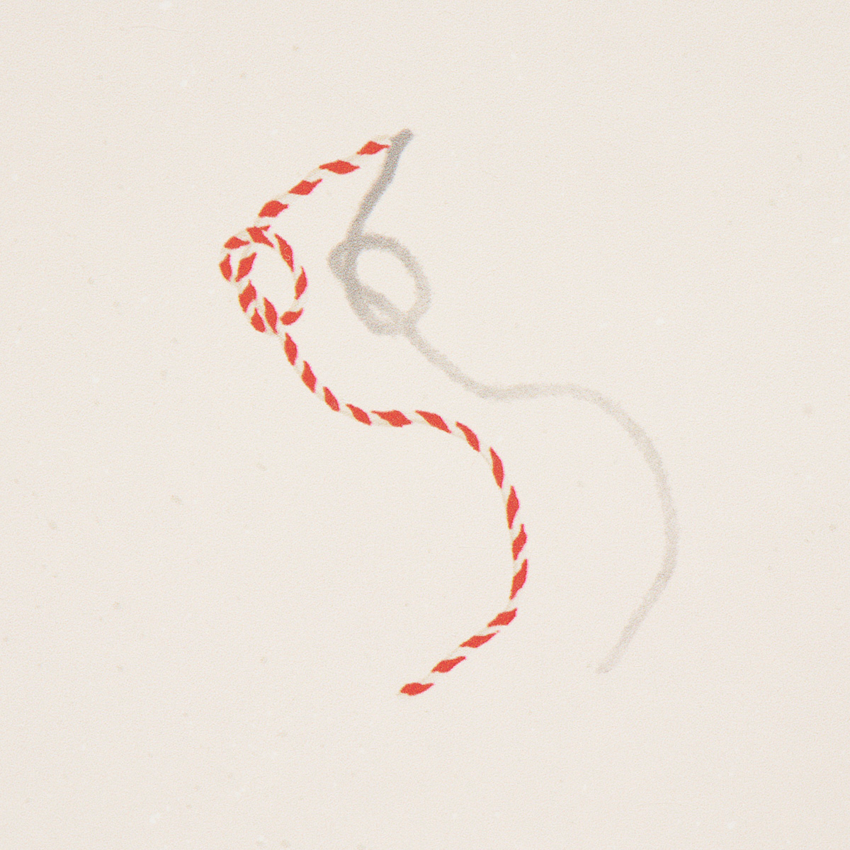 BUTCHER STRING gallery 2