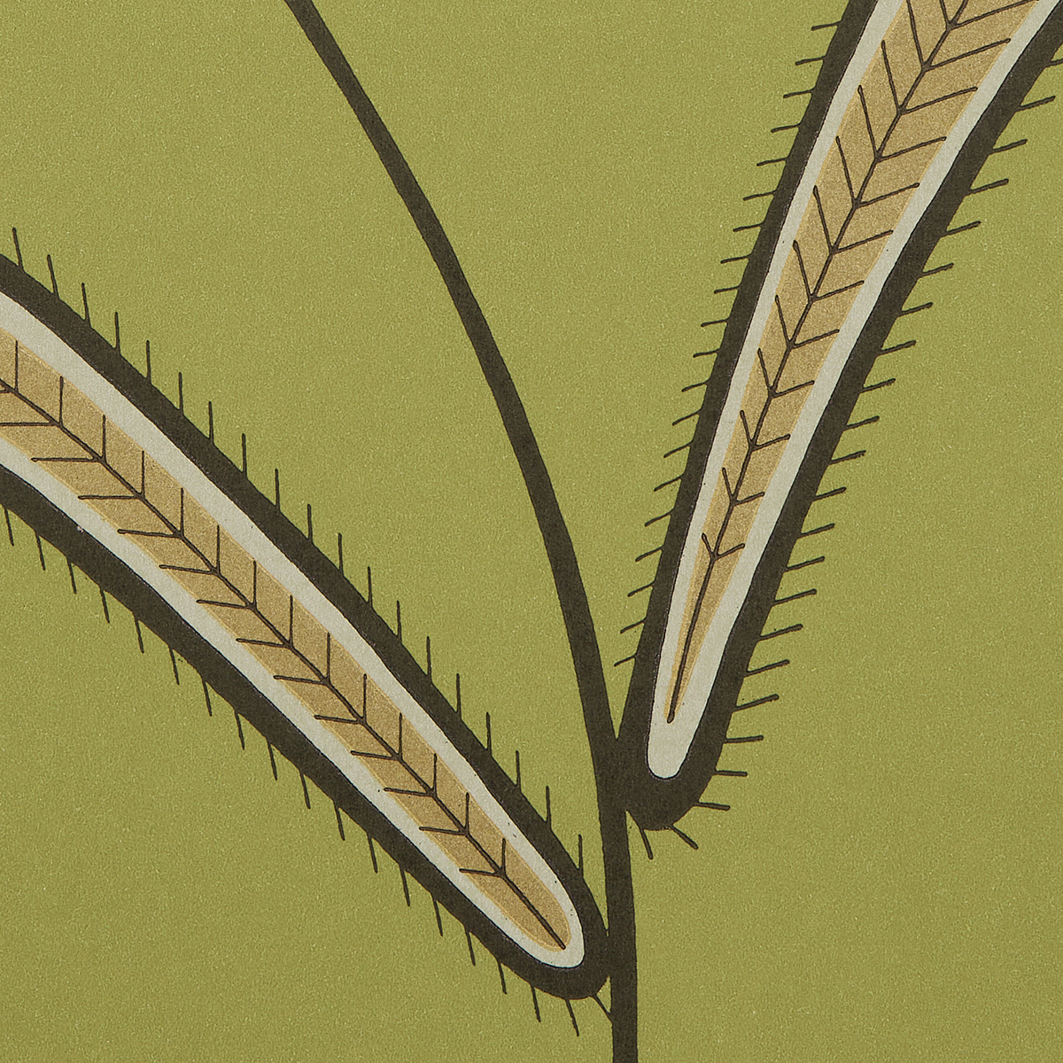 CATERPILLAR LEAF gallery 2