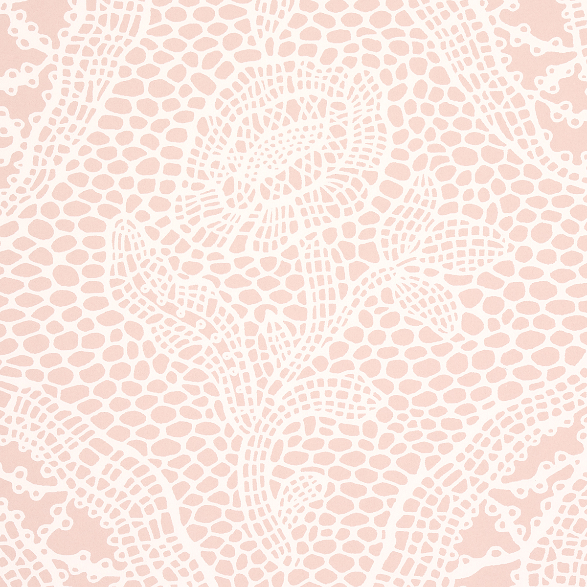 COSETTE LACE gallery 2