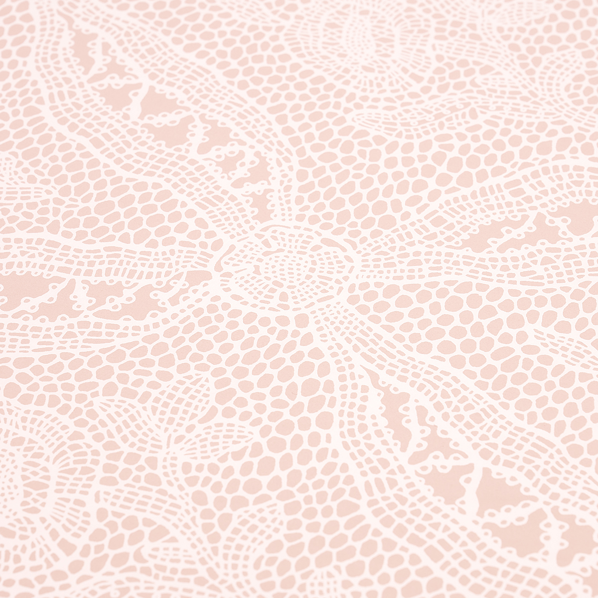 COSETTE LACE gallery 3