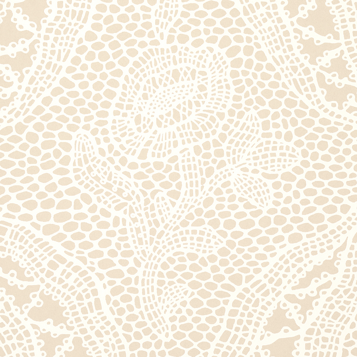 COSETTE LACE gallery 2
