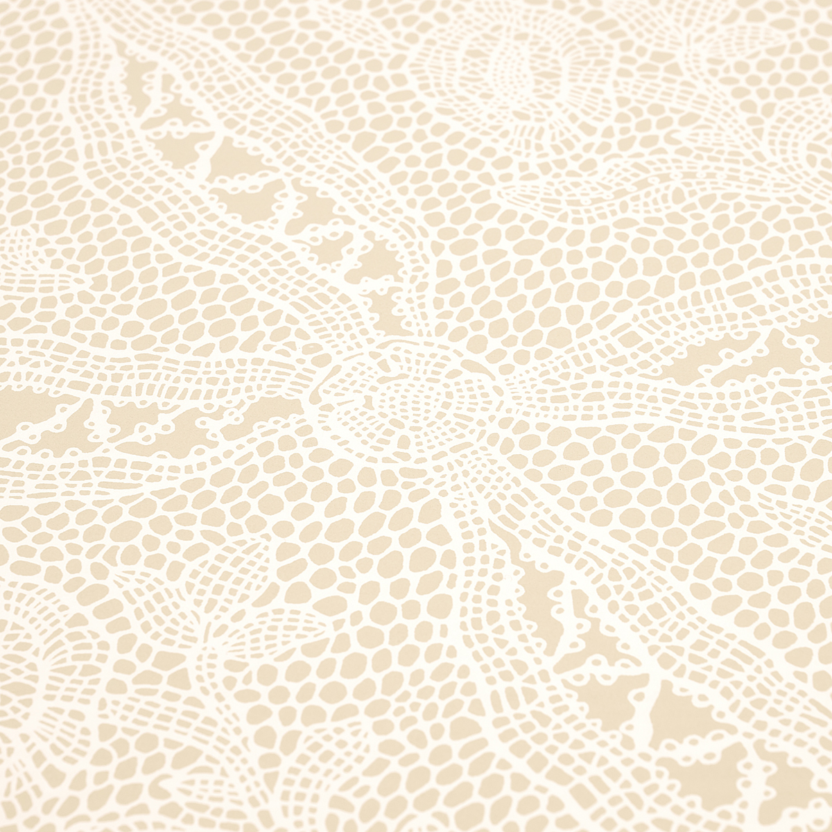 COSETTE LACE gallery 3