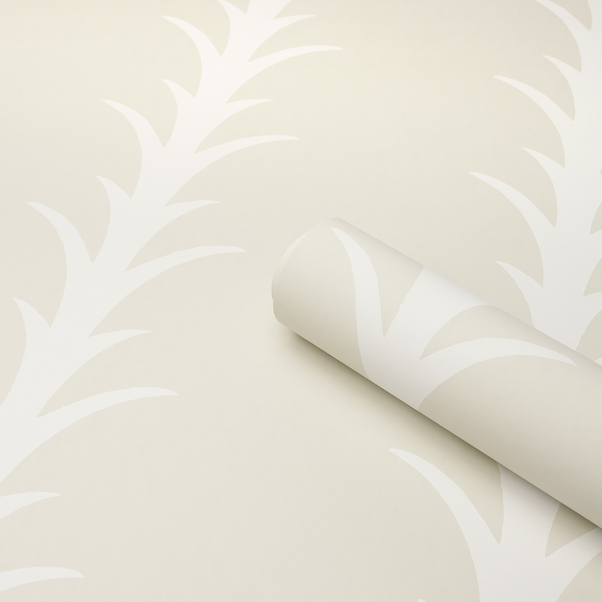 ACANTHUS STRIPE gallery 3