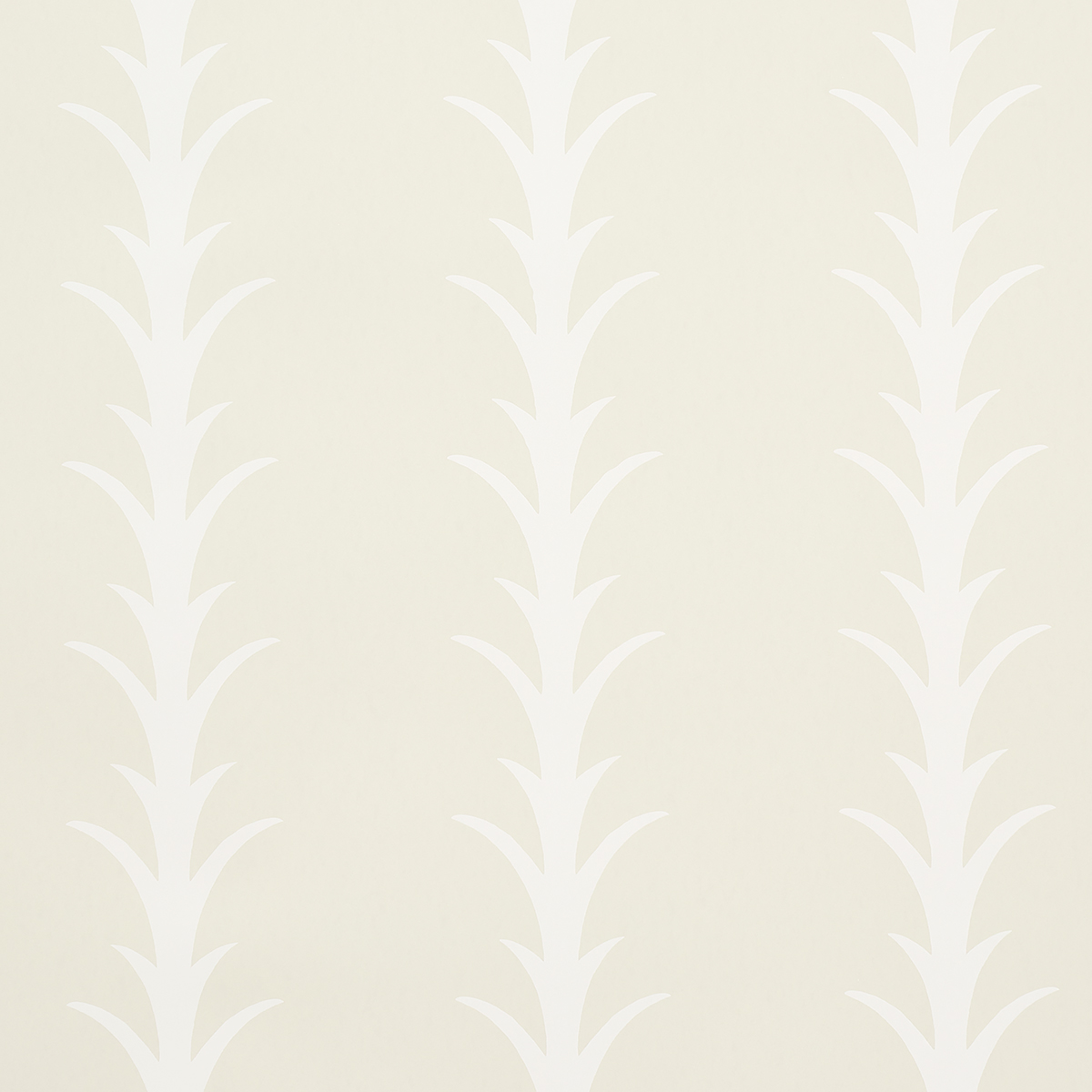 IVORY ON NEUTRAL