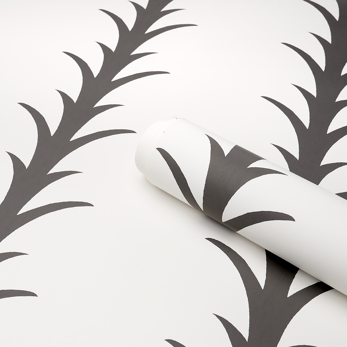ACANTHUS STRIPE gallery 3