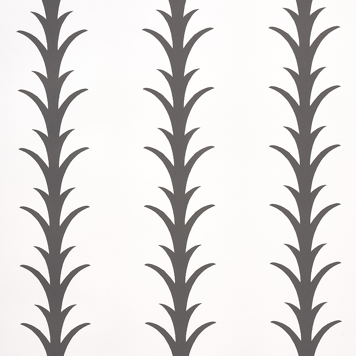 CARBON ON IVORY