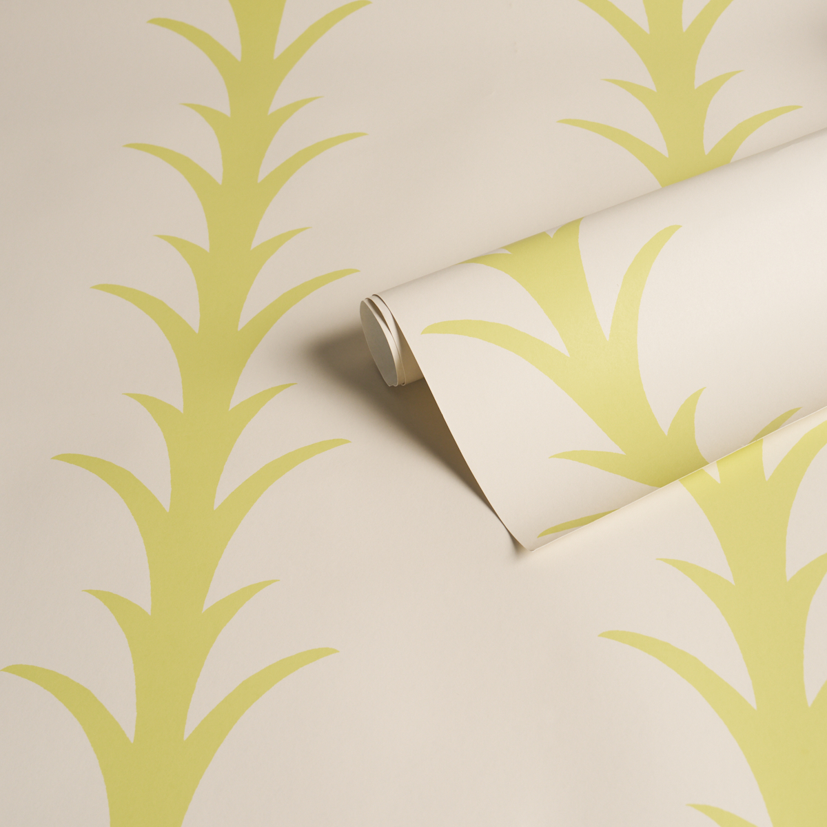 ACANTHUS STRIPE gallery 3