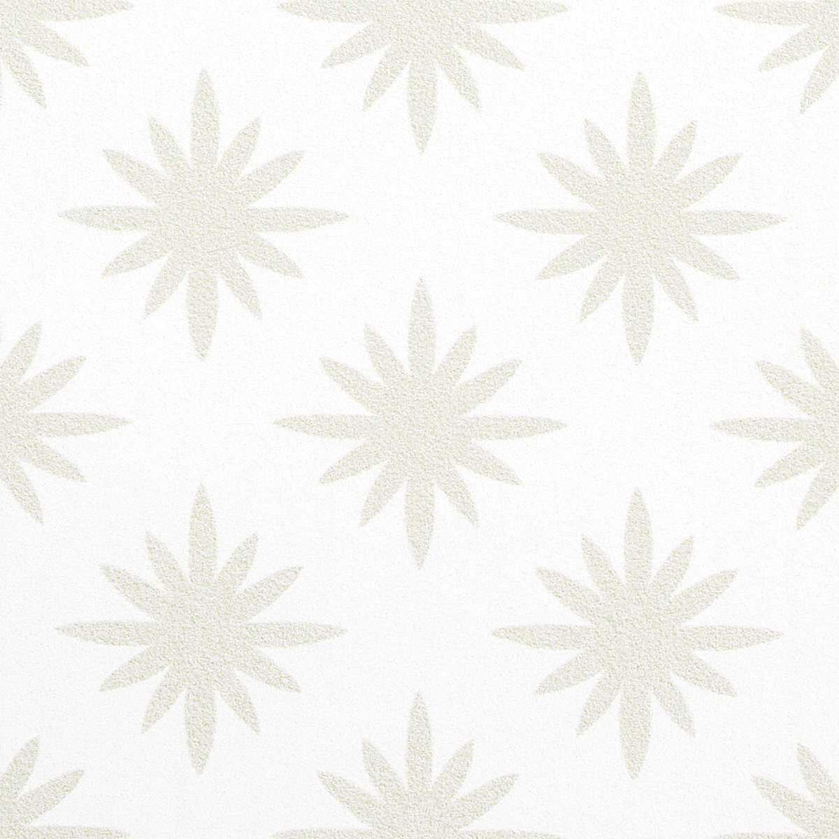 STAR ANISE gallery 2