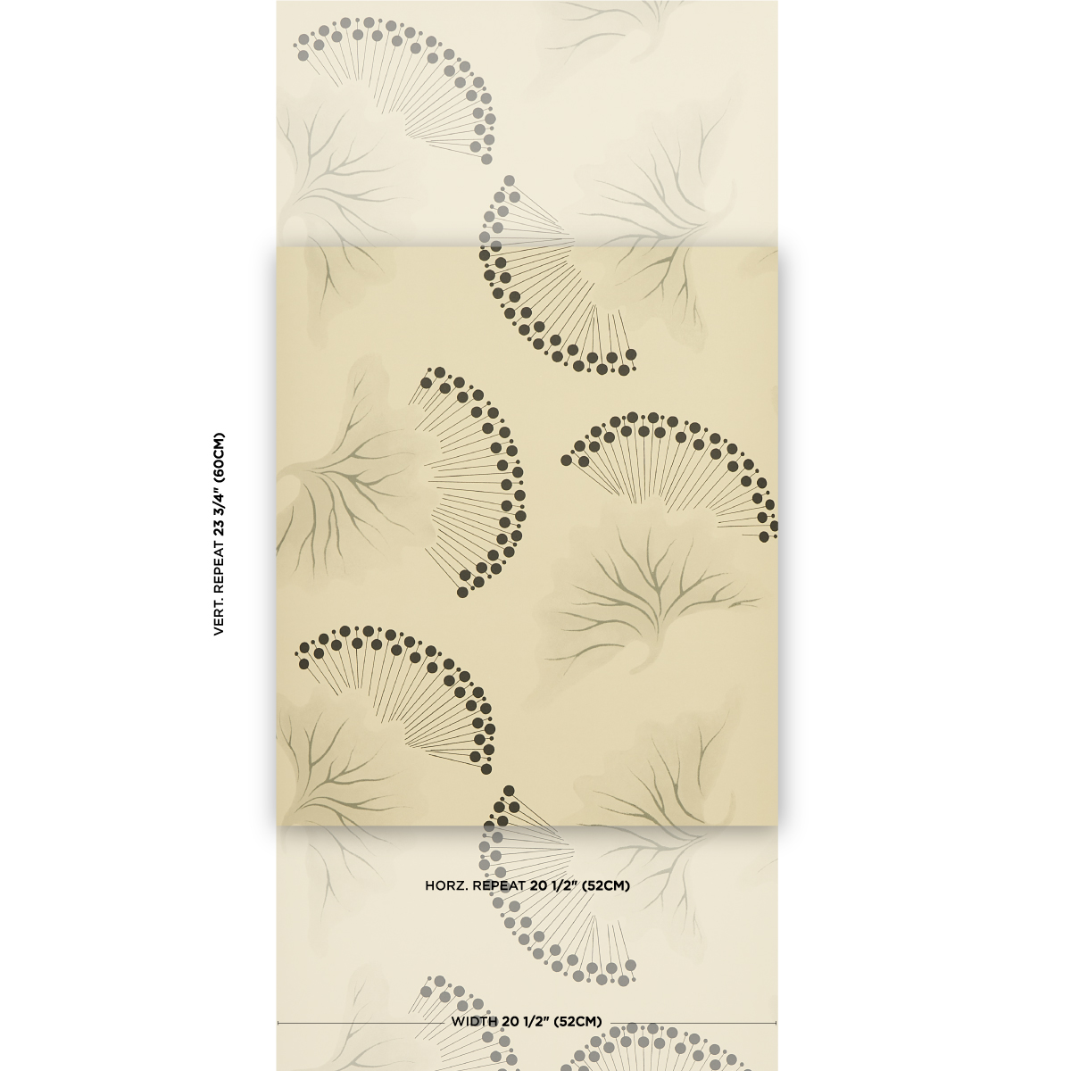 ANEMONE gallery 1