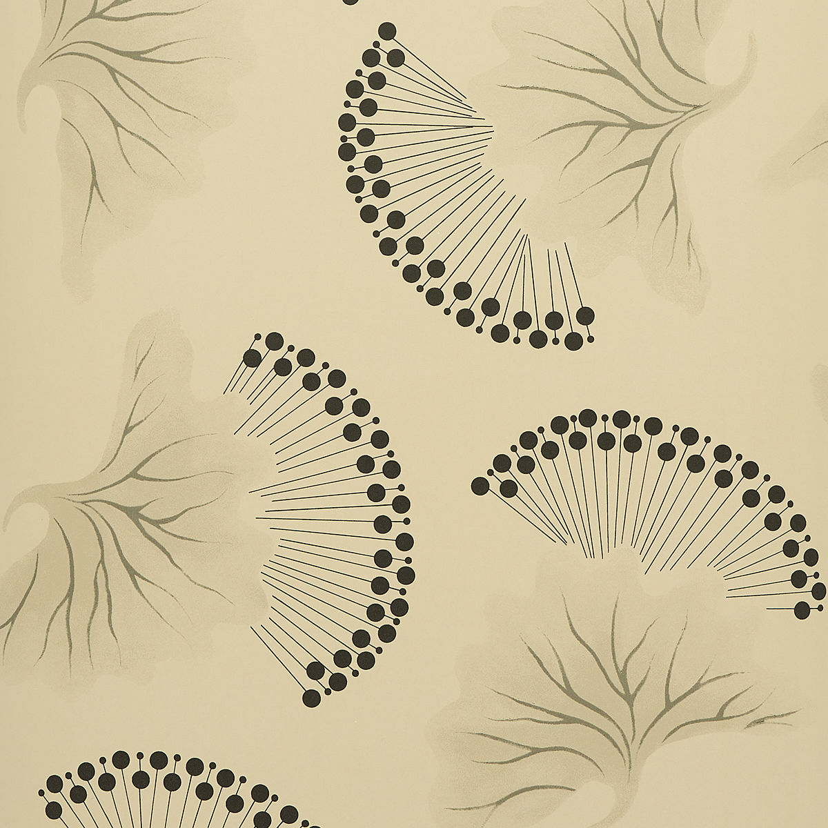 ANEMONE — BLACK & WHITE