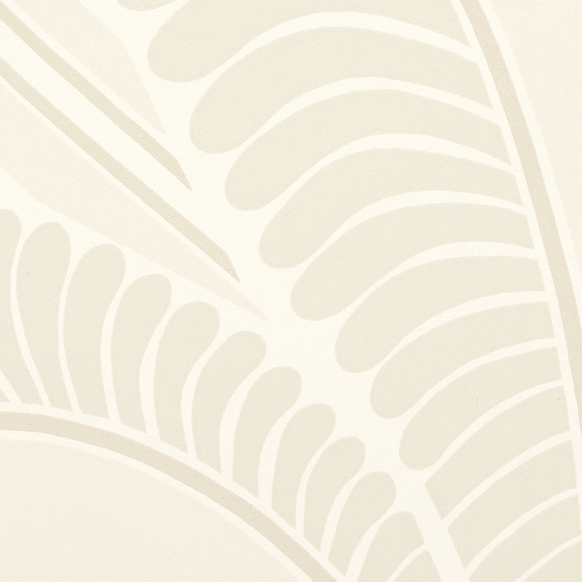 BANANA LEAF gallery 2