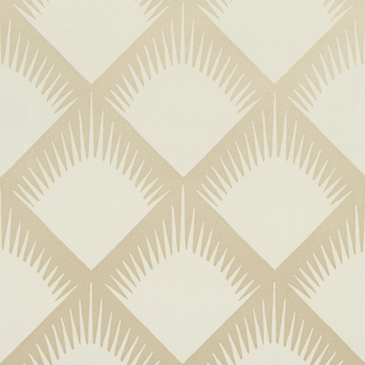 MAIZE gallery 2
