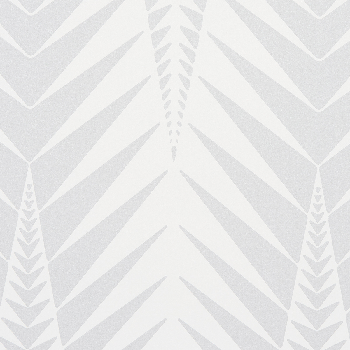 ZEBRA gallery 2