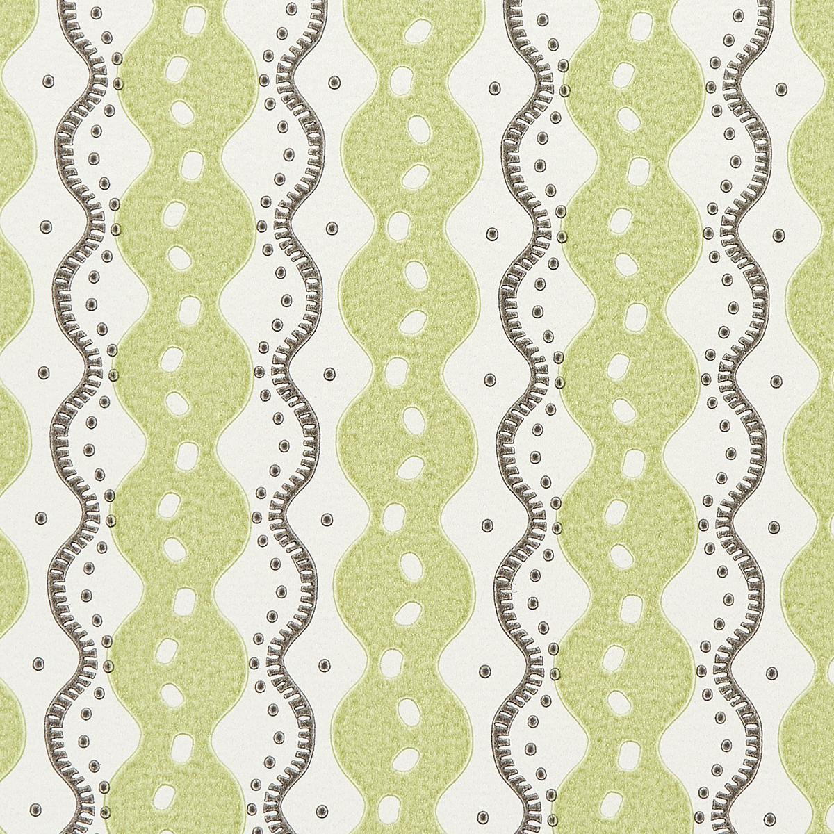 CENTIPEDE STRIPE gallery 2