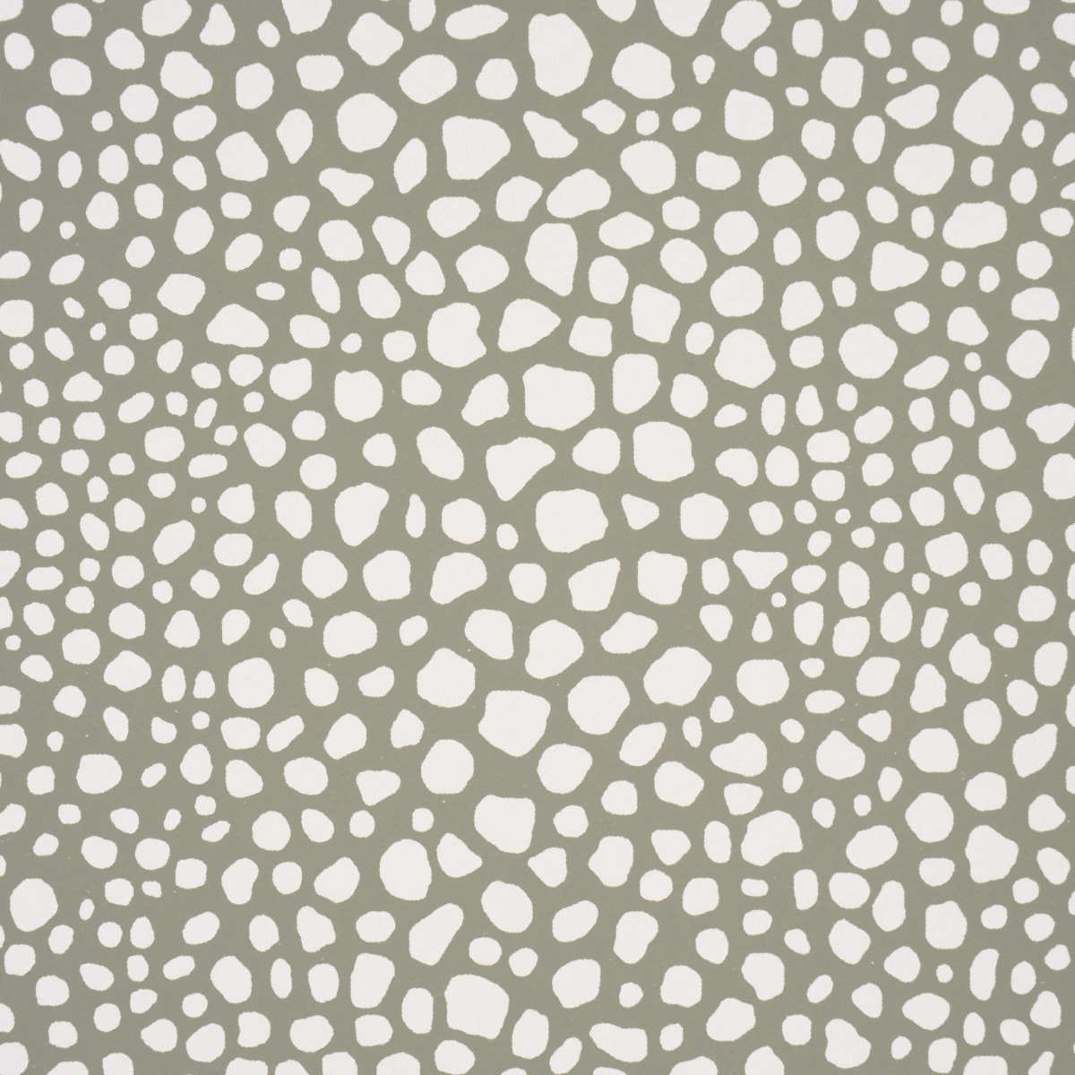 FICKLE TEXTURE gallery 2