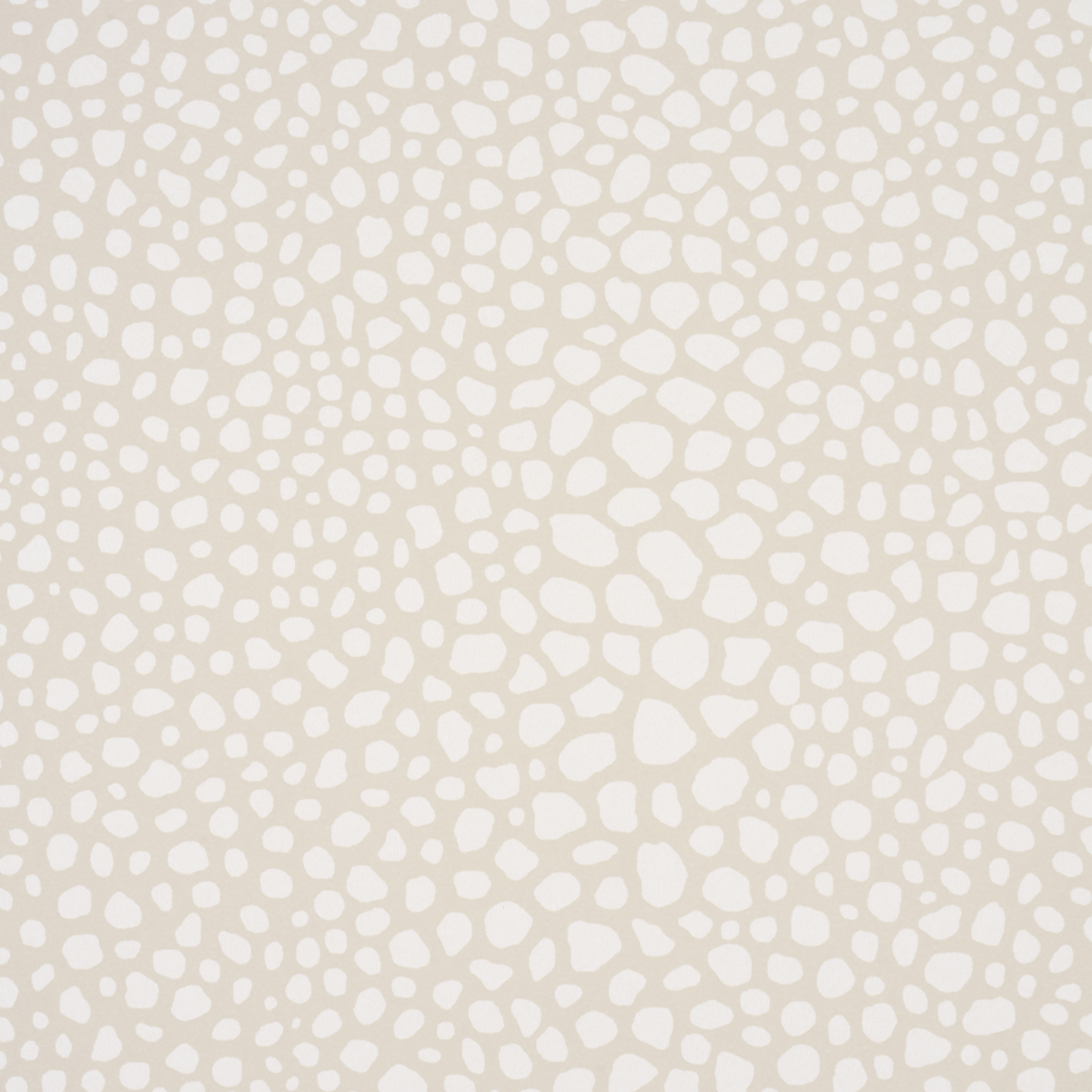 FICKLE TEXTURE gallery 2