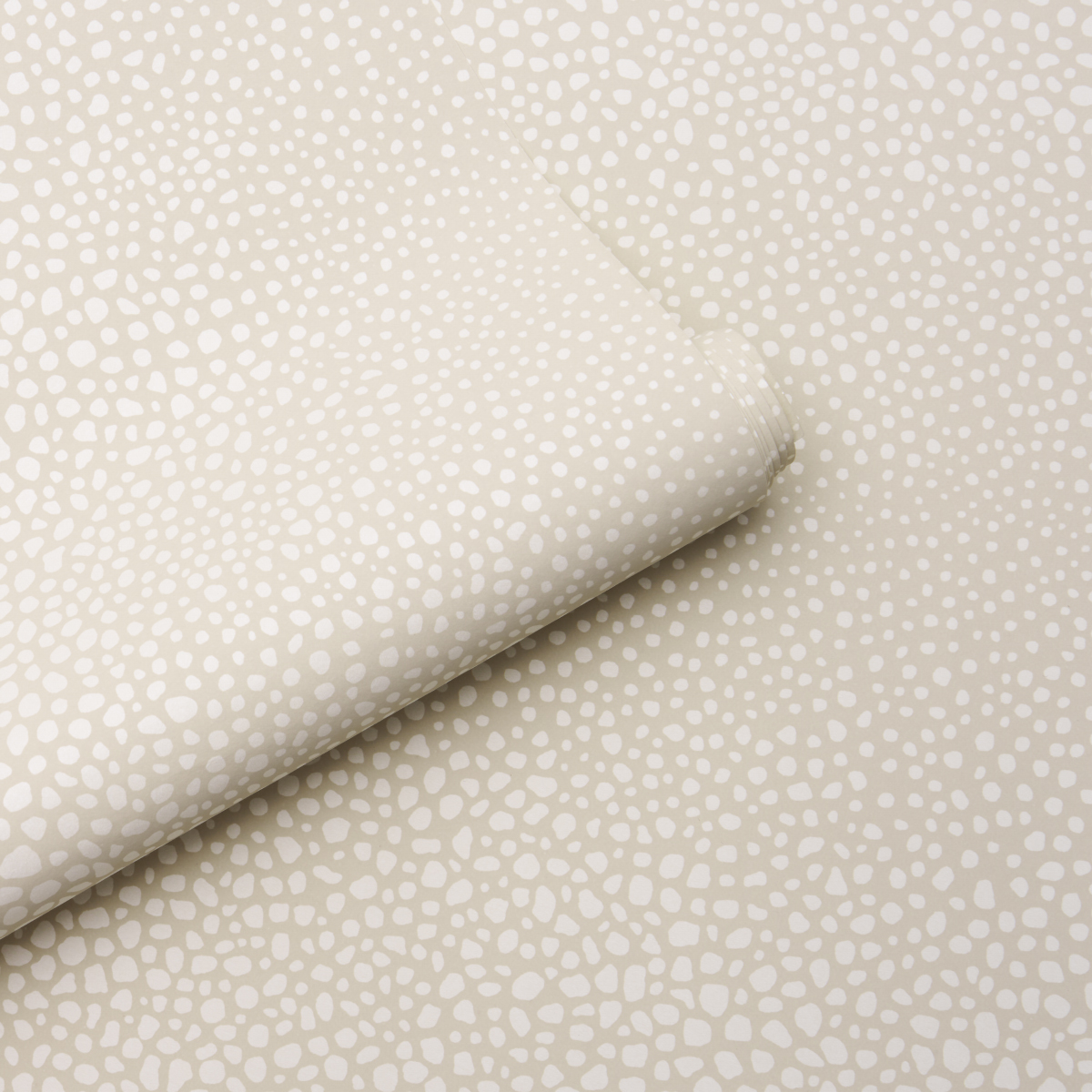 FICKLE TEXTURE gallery 3