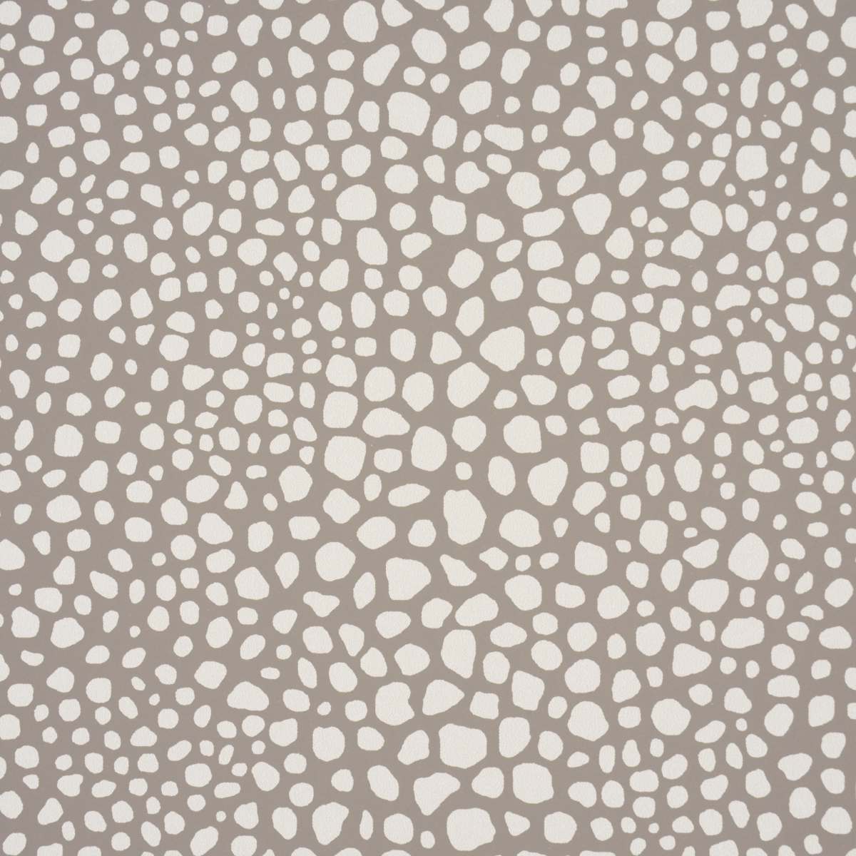 FICKLE TEXTURE gallery 2