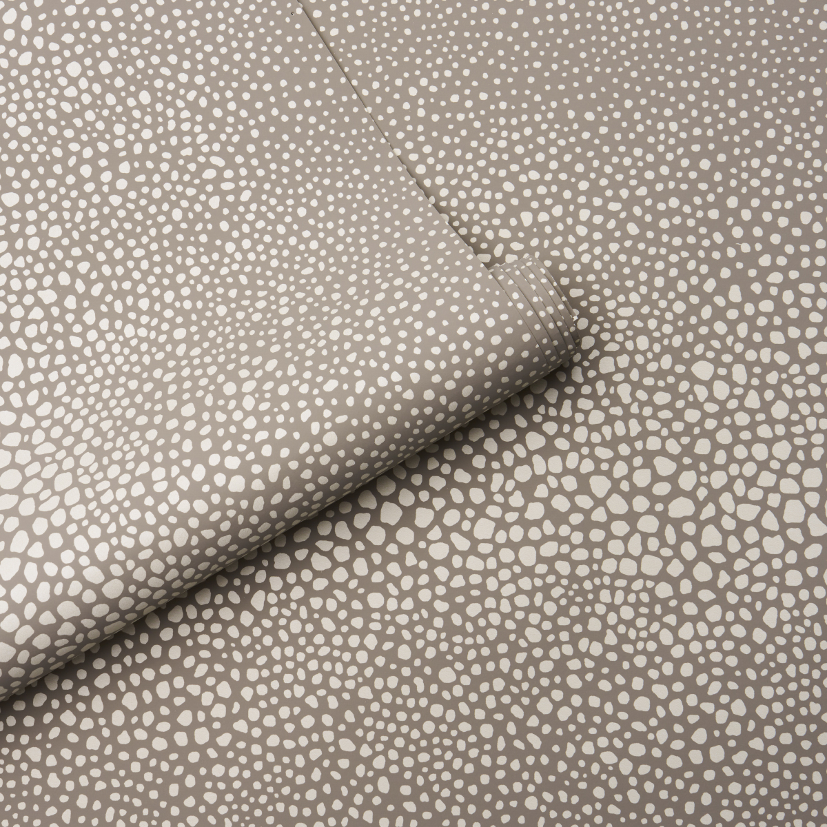 FICKLE TEXTURE gallery 3