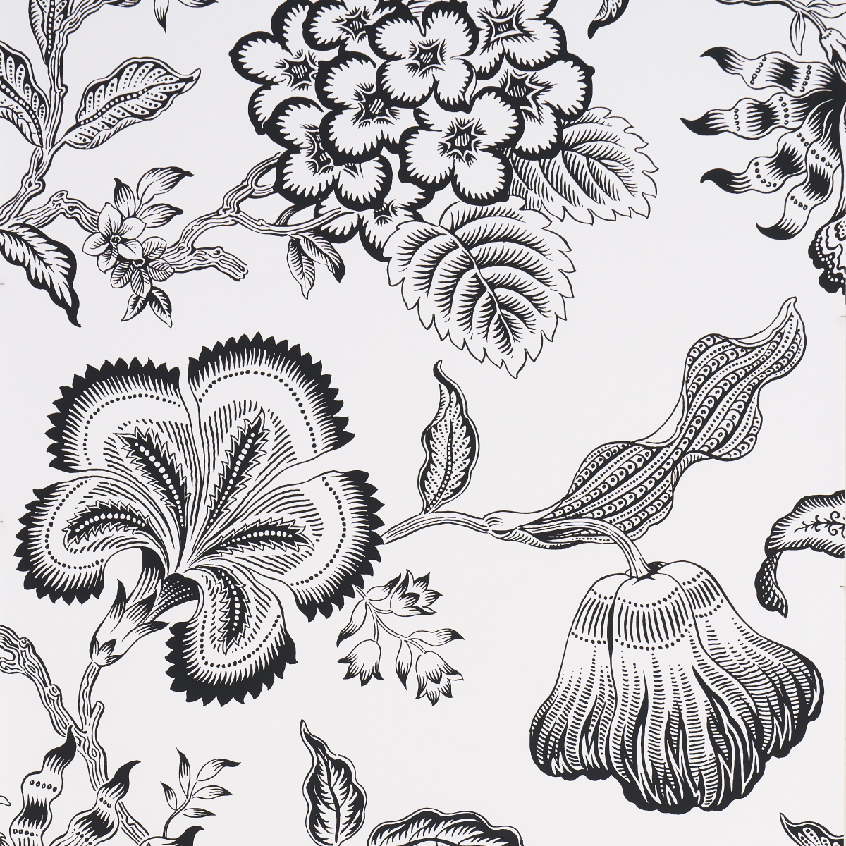 HOTHOUSE FLOWERS SILHOUETTE — BLACK AND WHITE